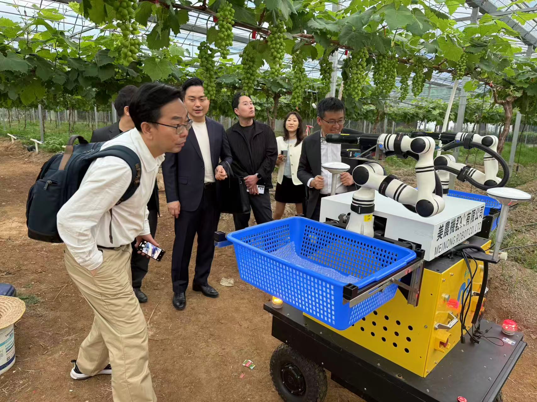 来宾现场观看葡萄采摘机器人演示