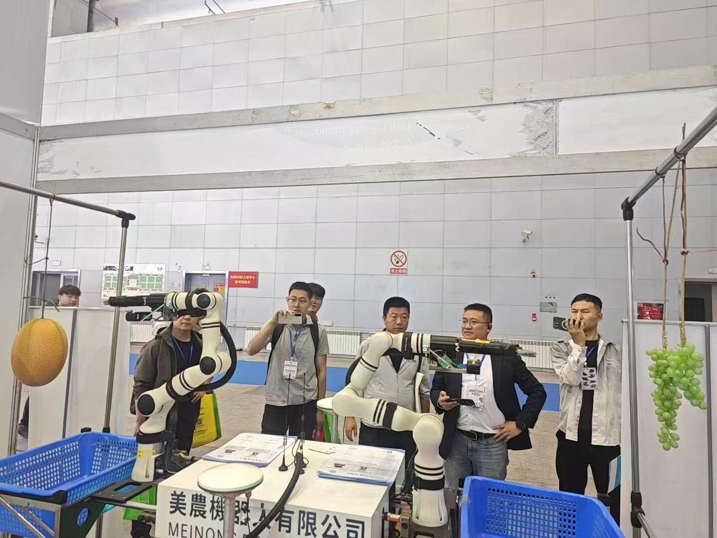 哈密瓜与葡萄采摘场景演示