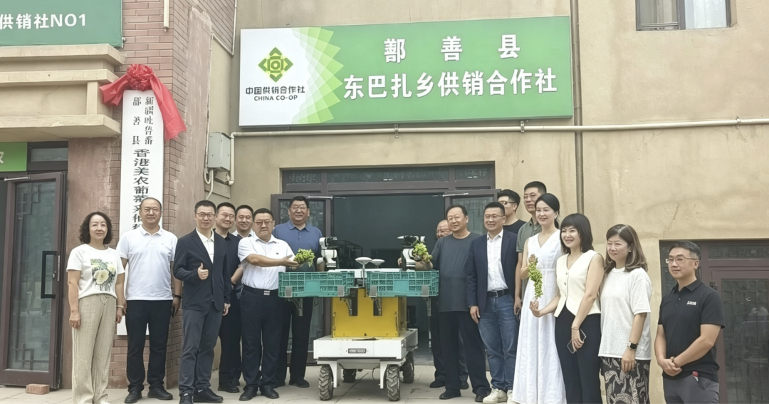 美農ブドウ収穫ロボット、新疆トルファン・シャンシャンに落地 研發実訓基地が開所