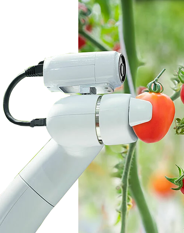 We are a high-tech enterprise, focusing on providing users with cost-effective smart agriculture solutions.