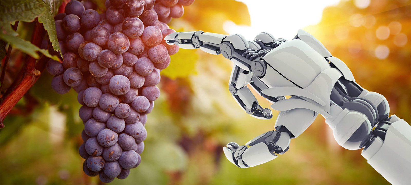 美農ロボット株式会社、AIが美しい農業を実現